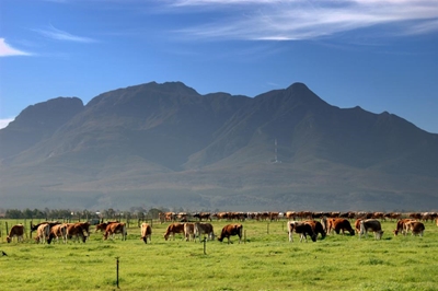Spog inligtingsdag op Outeniqua-navorsingsplaas